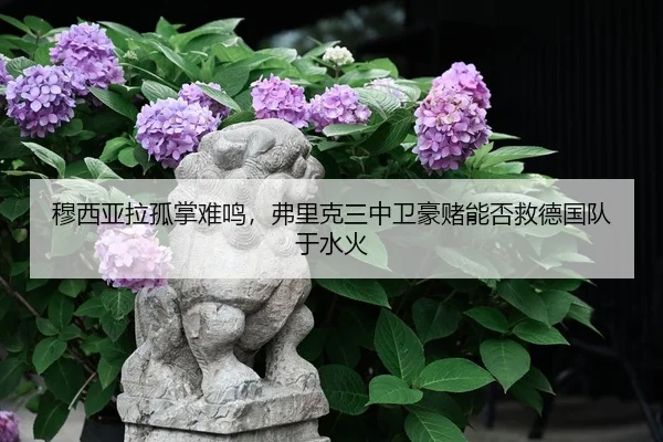 穆西亚拉孤掌难鸣，弗里克三中卫豪赌能否救德国队于水火